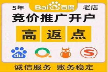 成功案例解析：SEM竞价员策略